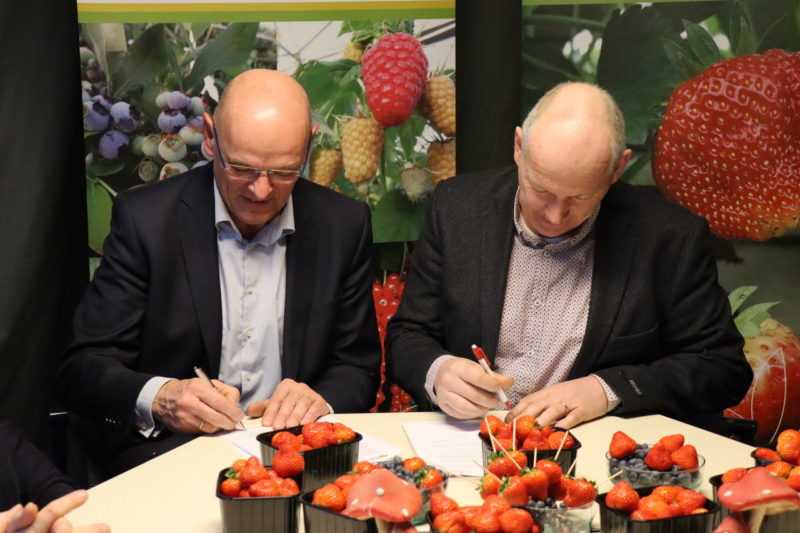 Delphy & Berry Promotions slaan handen ineen