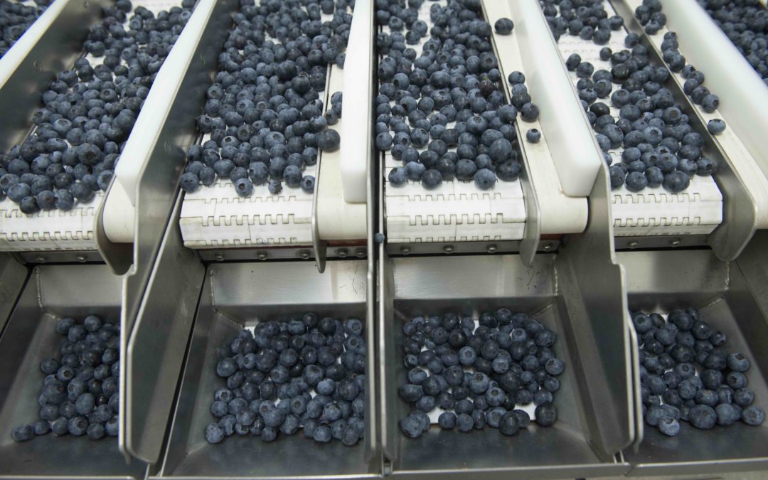 Partner in de spotlight: AbbGrowers