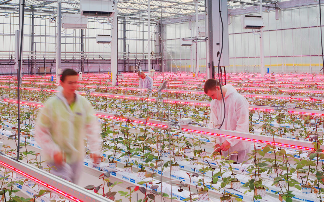 Onwikkelingen onderzoekslocatie Delphy