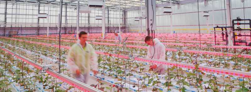 Delphy onderzoekscentrum