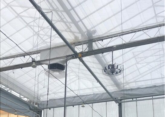 Kettingbrief #12 Hans Weisbeek